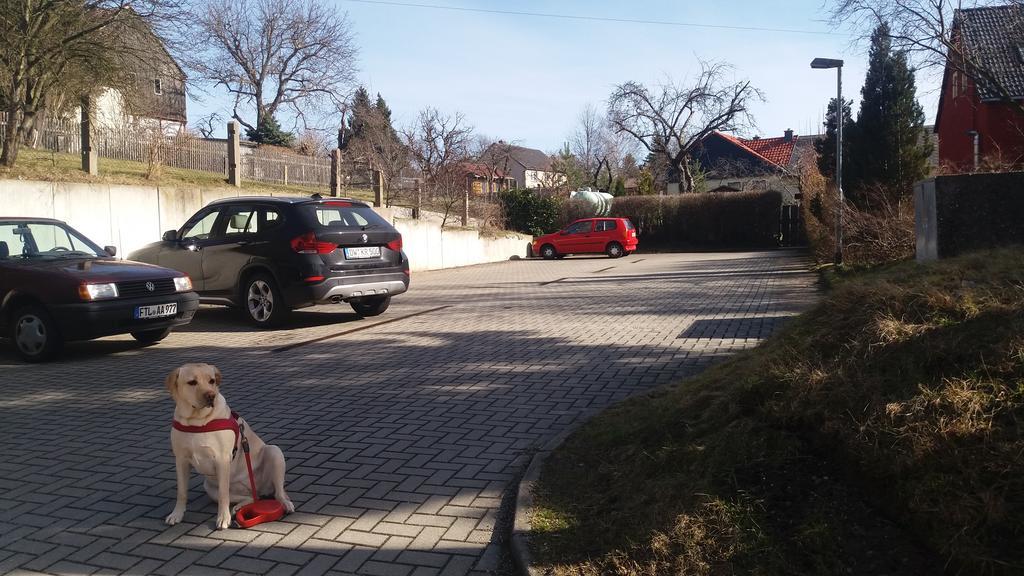Altes Wirtshaus Foerdergersdorf Bed & Breakfast Tharandt Екстериор снимка